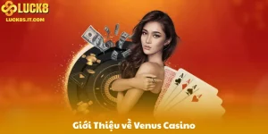 Giới Thiệu về Venus Casino