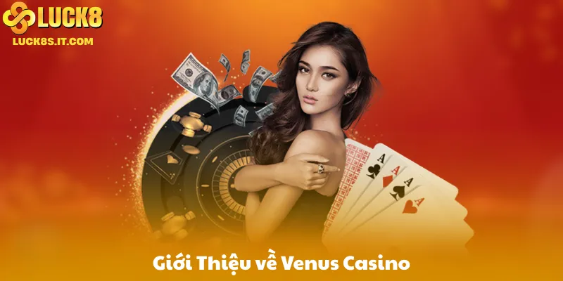 Giới Thiệu về Venus Casino