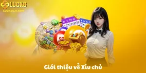 Giới thiệu về Xỉu chủ