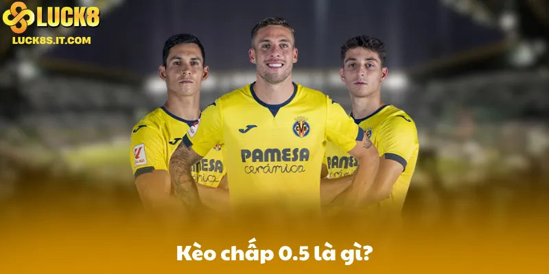 Kèo chấp 0.5 là gì?